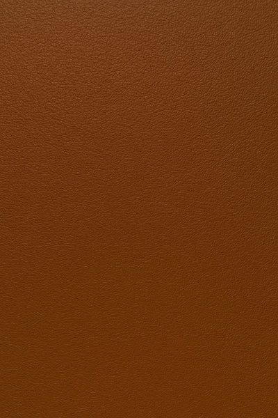 Brun dobbelt monk strap sko Brun dobbelt monk strap sko