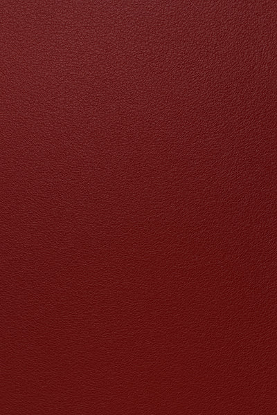 Bordeaux loafer Bordeaux loafer