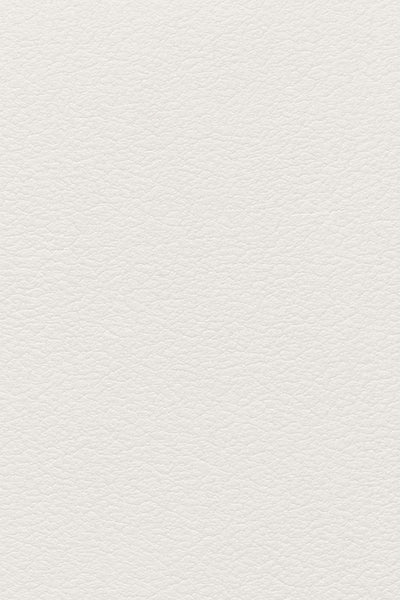 Hvid sneaker Hvid sneaker