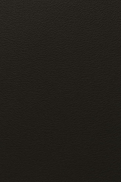 Sort dobbelt monk strap sko Sort dobbelt monk strap sko