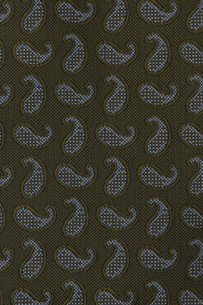 Grønt paisley slips